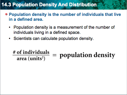 single species population dynamics calculator